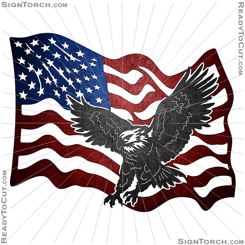 american_eagle6744=m.jpg