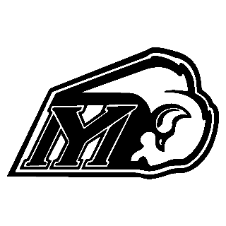 buffalo_sports_logo.gif