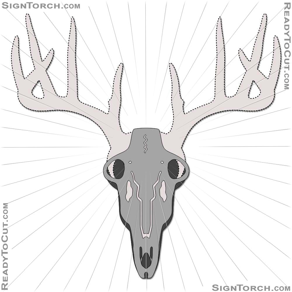 deer_skull_mount7567.jpg