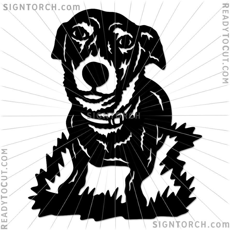 dog_portrait6421b.jpg