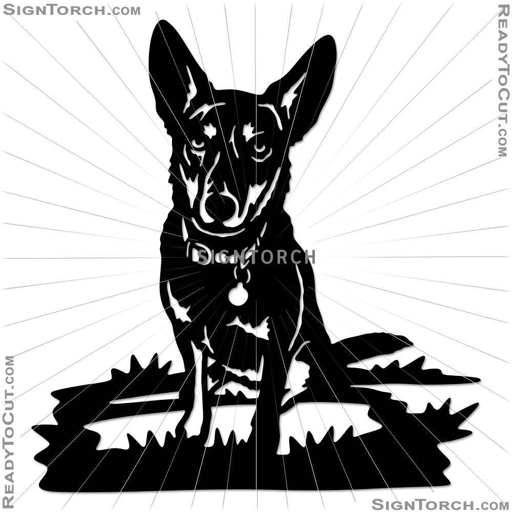 dog_portrait7358b.jpg