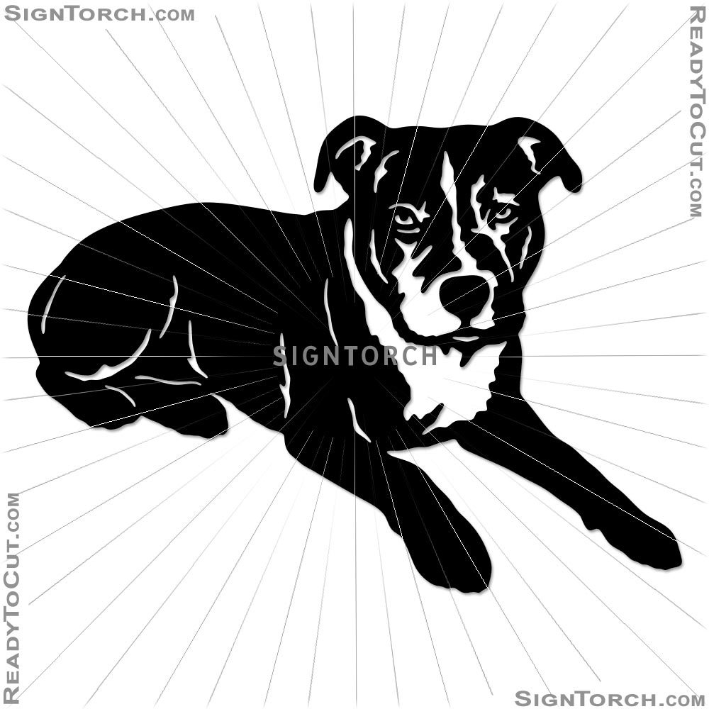 dog_portrait7443.jpg