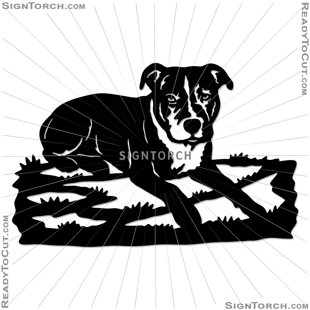 dog_portrait7443b.jpg