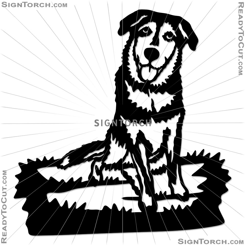 dog_portrait7508b.jpg