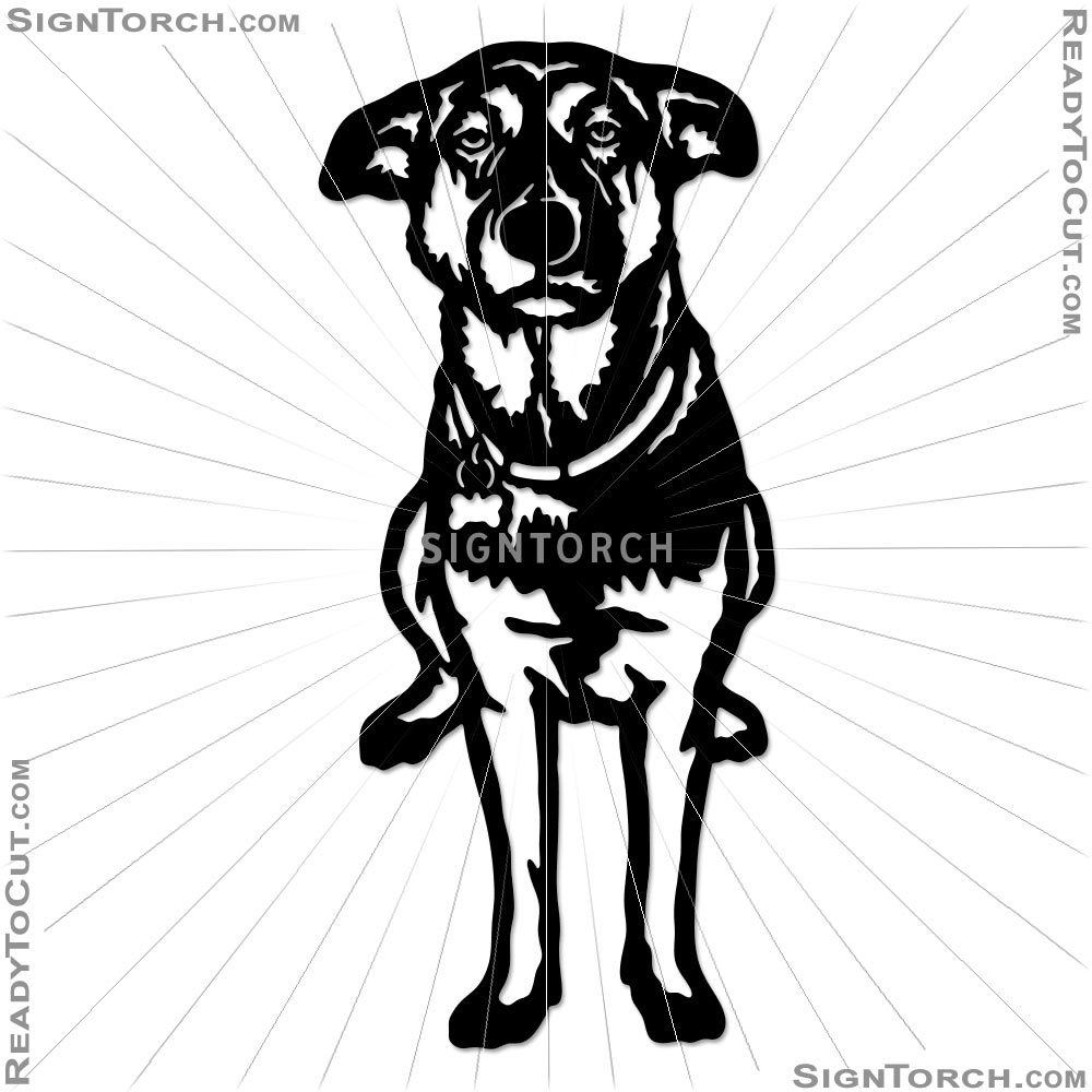 dog_portrait7526.jpg