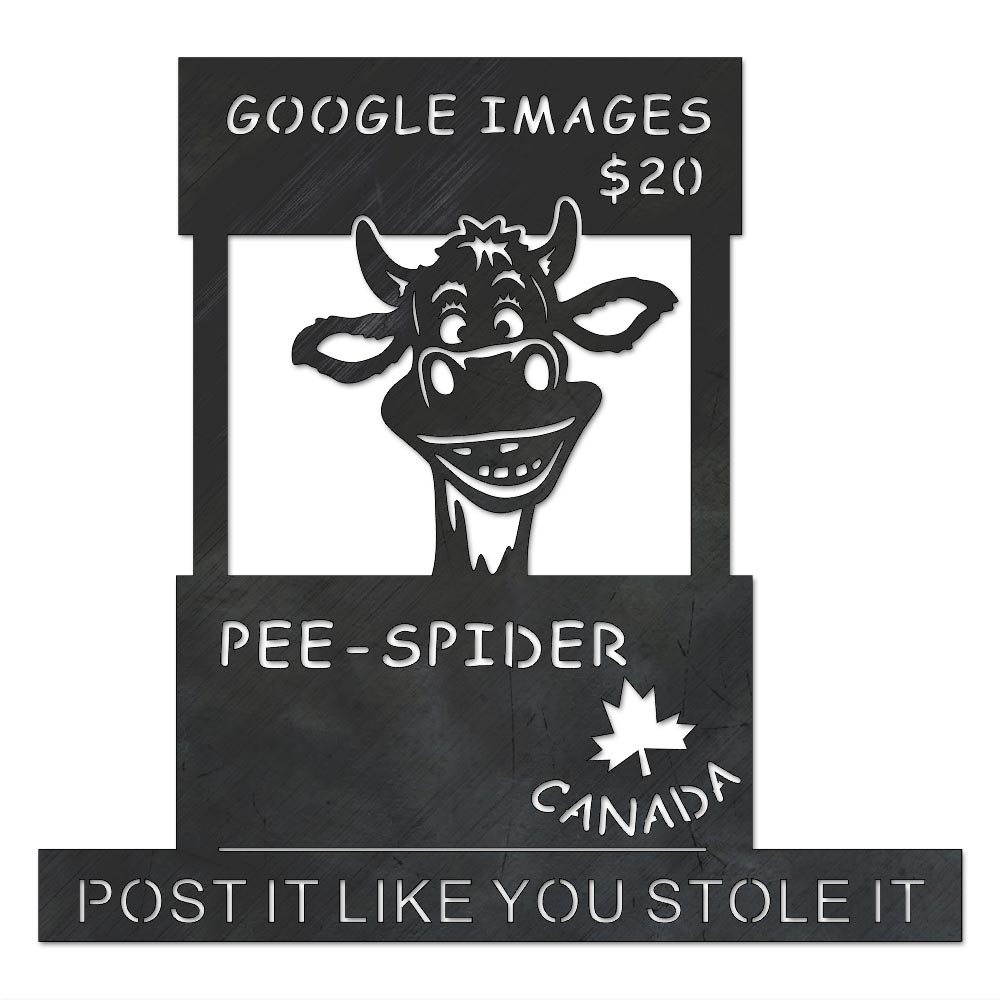 file_pimp-spider.jpg