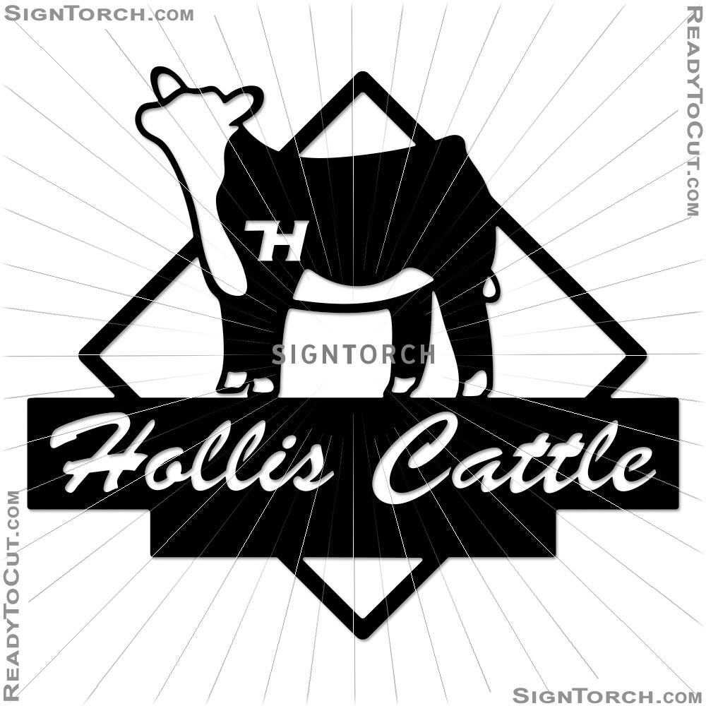 hollis_cattle7367.jpg