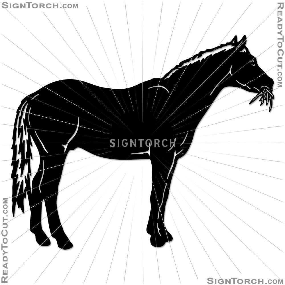 horse7306.jpg