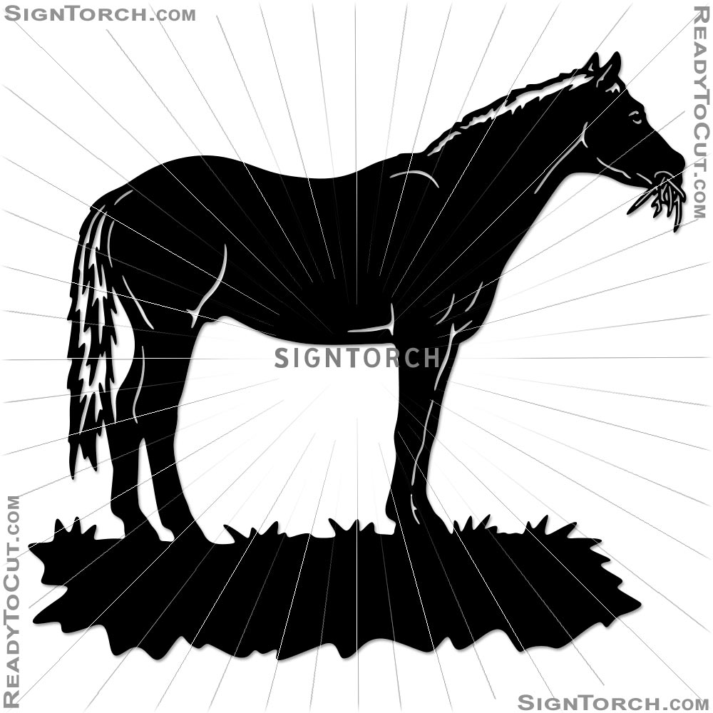 horse7306b.jpg