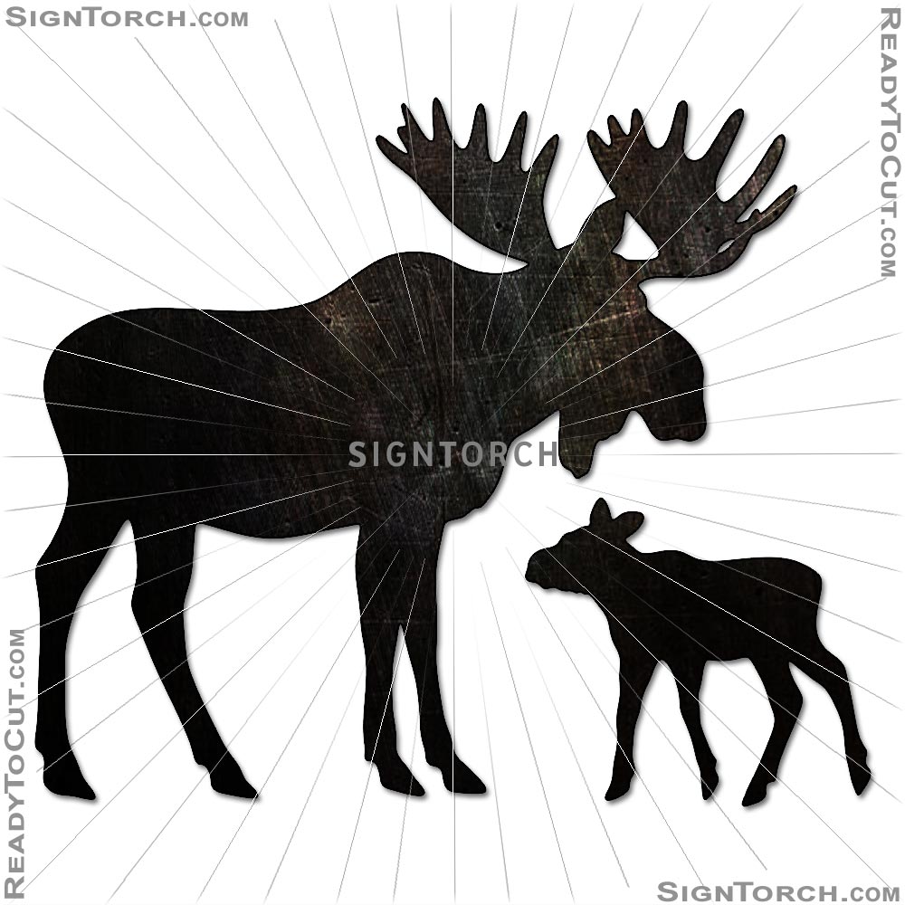 moose_family6777.jpg
