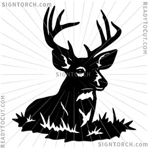 whitetail_buck_deer.jpg