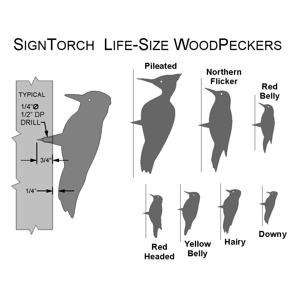 woodpecker_m.jpg
