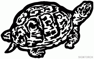 box_turtle=.gif