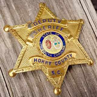 Horry County Sheriff Badge.jpg