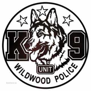 k9wildwood3.jpg