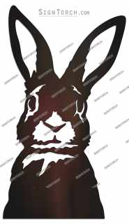 bunny_rabbit04=.jpg
