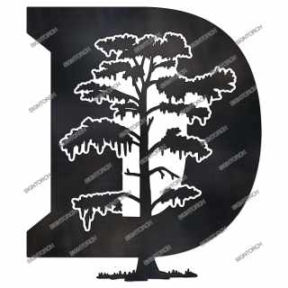 cypress_tree4052f.jpg