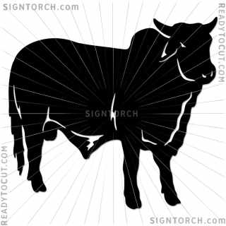 bull5001.jpg